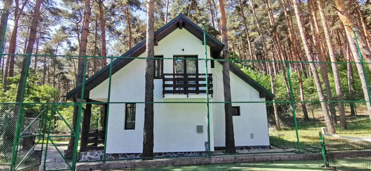 Complex Parc Pini Moinesti Hotel Bagian luar foto