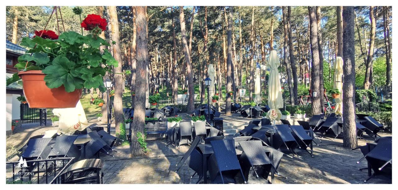 Complex Parc Pini Moinesti Hotel Bagian luar foto