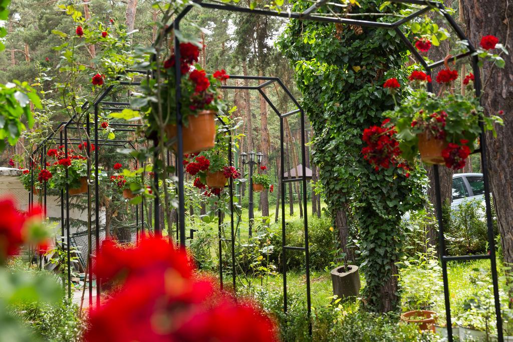 Complex Parc Pini Moinesti Hotel Bagian luar foto